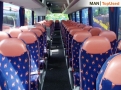 MAN LION'S COACH / R07